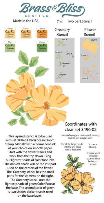 3496-02D Radiance in Bloom CoordinatingStencil