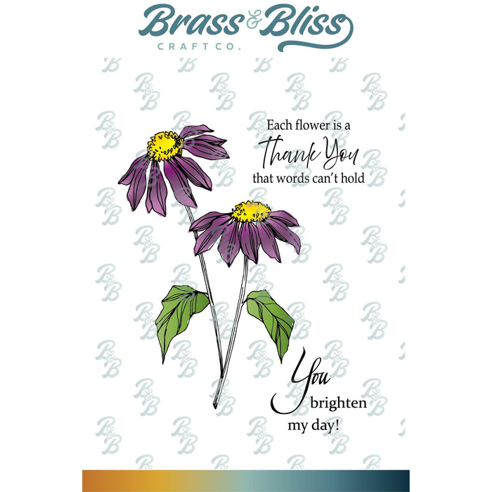 38023 Layered Echinacea - 4x6 Clear Stamp Set