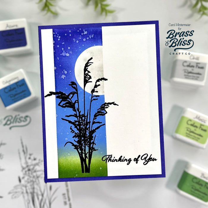 36028 Silhouette Wildflowers - 5x6 Stamp Set