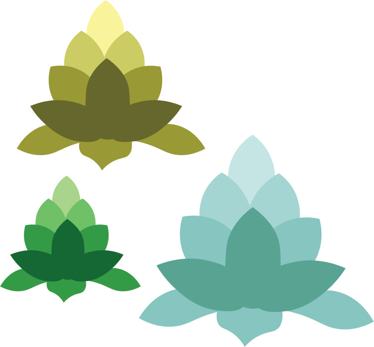 RN 5309-01D Succulents #1 Die