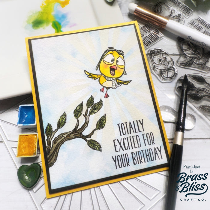 38015 Sky-High Birthday Birds - 4x8 Stamp Set