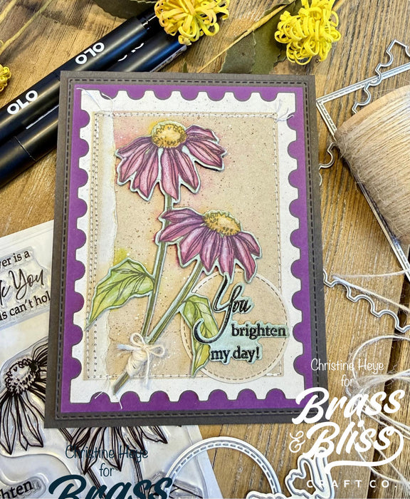 38023 Layered Echinacea - 4x6 Clear Stamp Set
