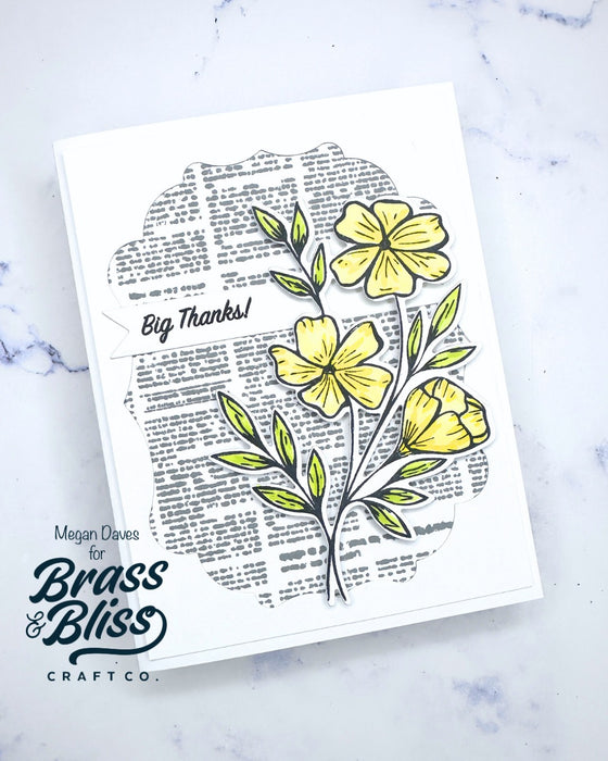 38009 Thankful for you - 4x6 Clear Stamp Set