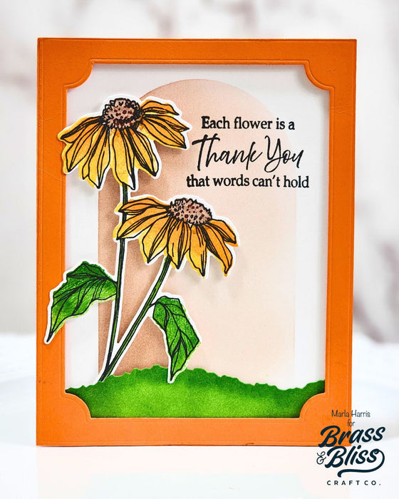 38023 Layered Echinacea - 4x6 Clear Stamp Set