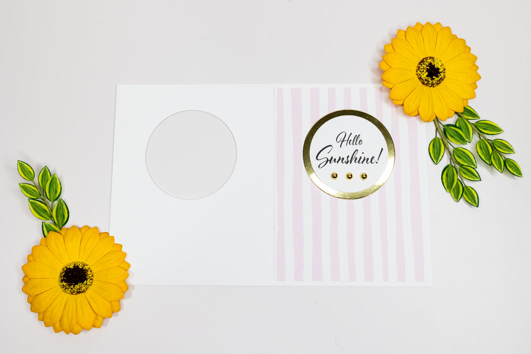 Peek-a-boo A2 Circle Window Card Set 8 ct with Envelopes